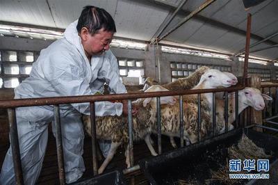浙江湖州:积极开展秋季动物防疫工作